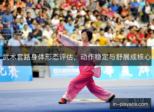 武术套路身体形态评估，动作稳定与舒展成核心